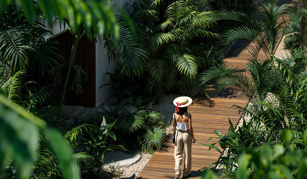 The boardwalk through the gardens